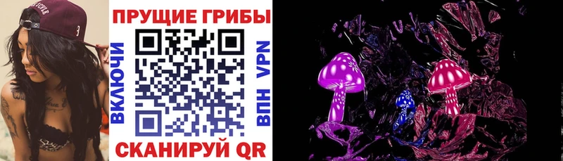 Купить где  Бикин  Галлюциногенные грибы прущие грибы 