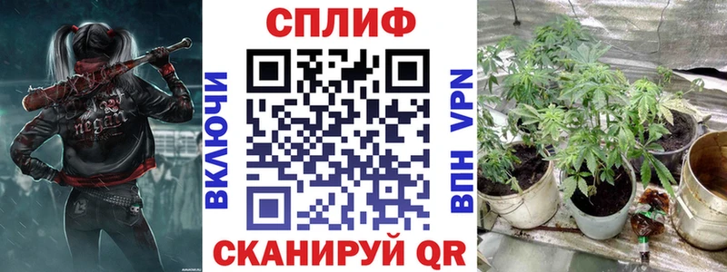 Шишки марихуана семена Бикин